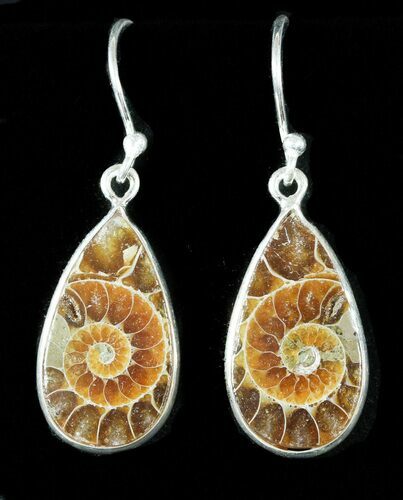 Fossil Ammonite Earrings - Sterling Silver #48752